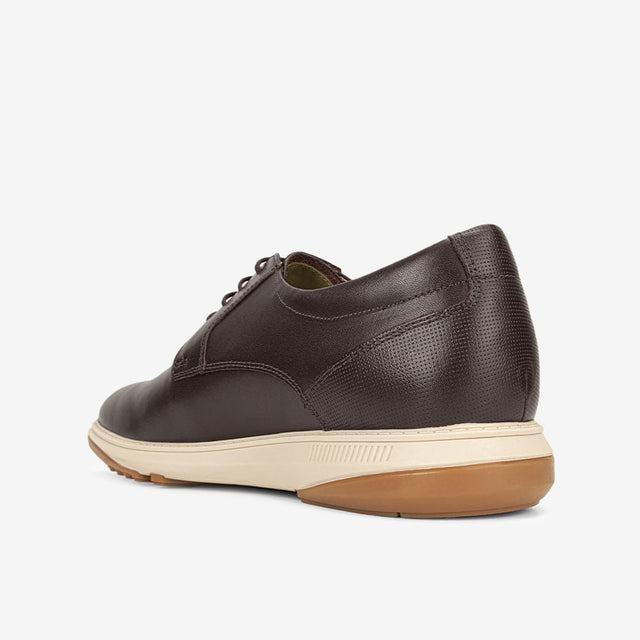 Zapatos Hombre Canela 1CP6001