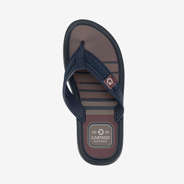 Sandalia Flip Flop Marron/Azul 2GCF03