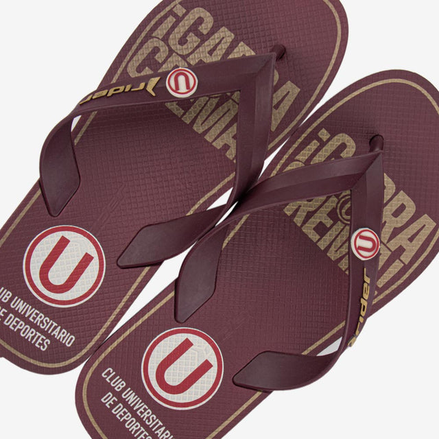 Sandalia Universitario Flip Flop Bordo 2RDU86