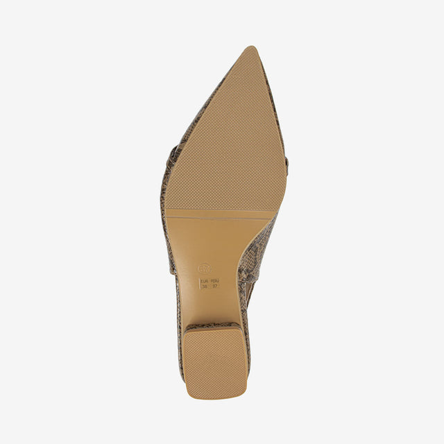 Zapatos Mujer Marron/Serpiente 2YT118