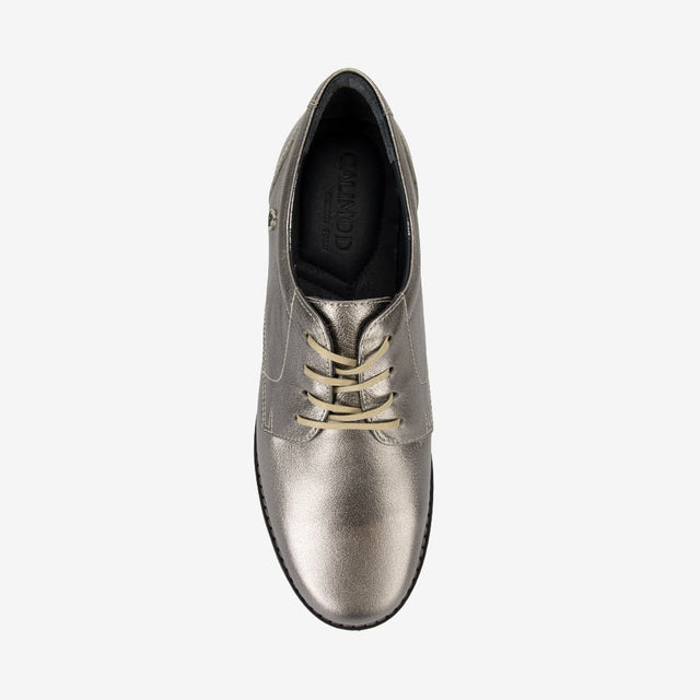 Zapatos Mujer Peltre/Plata 3CE6003