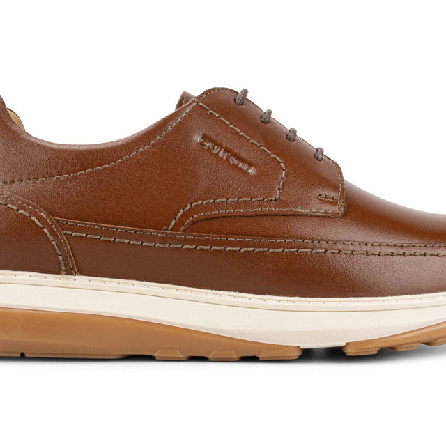 Zapato Hombre Cogñac 1CP6003
