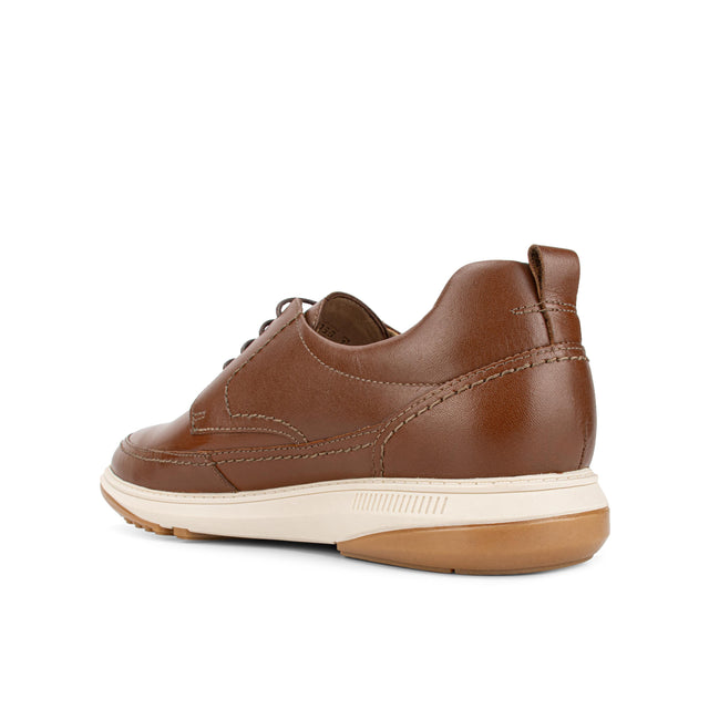 Zapato Hombre Cogñac 1CP6003