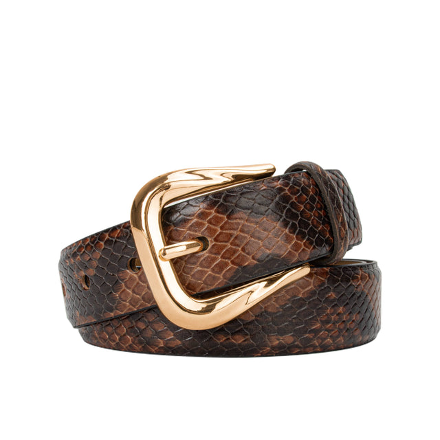 Correa Mujer Dark Brown 3AAC201